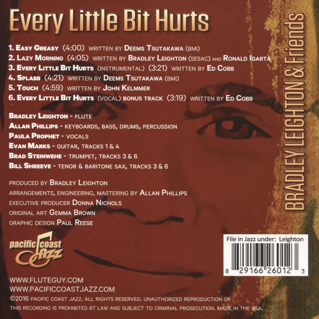 Every Little Bit Hurts cover art