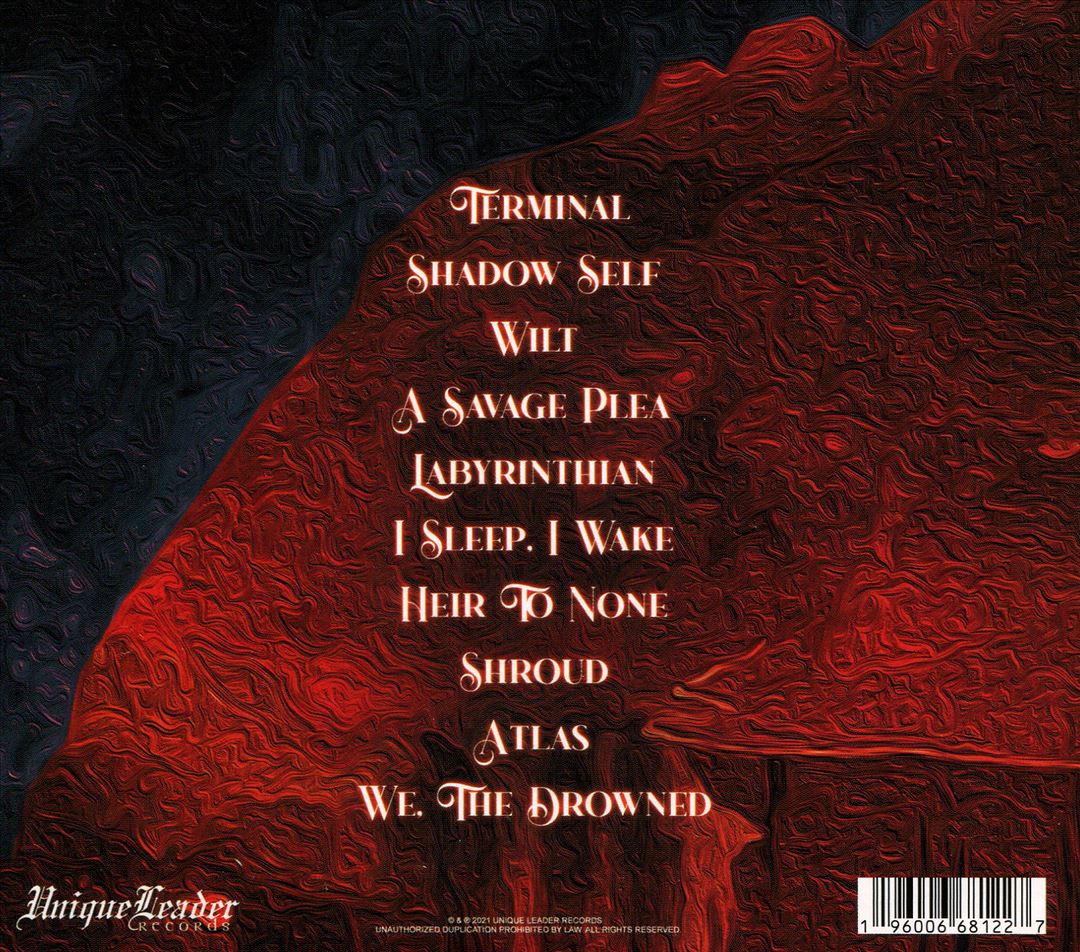 Labyrinthian cover art