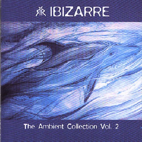 Ambient Collection, Vol. 2 cover art