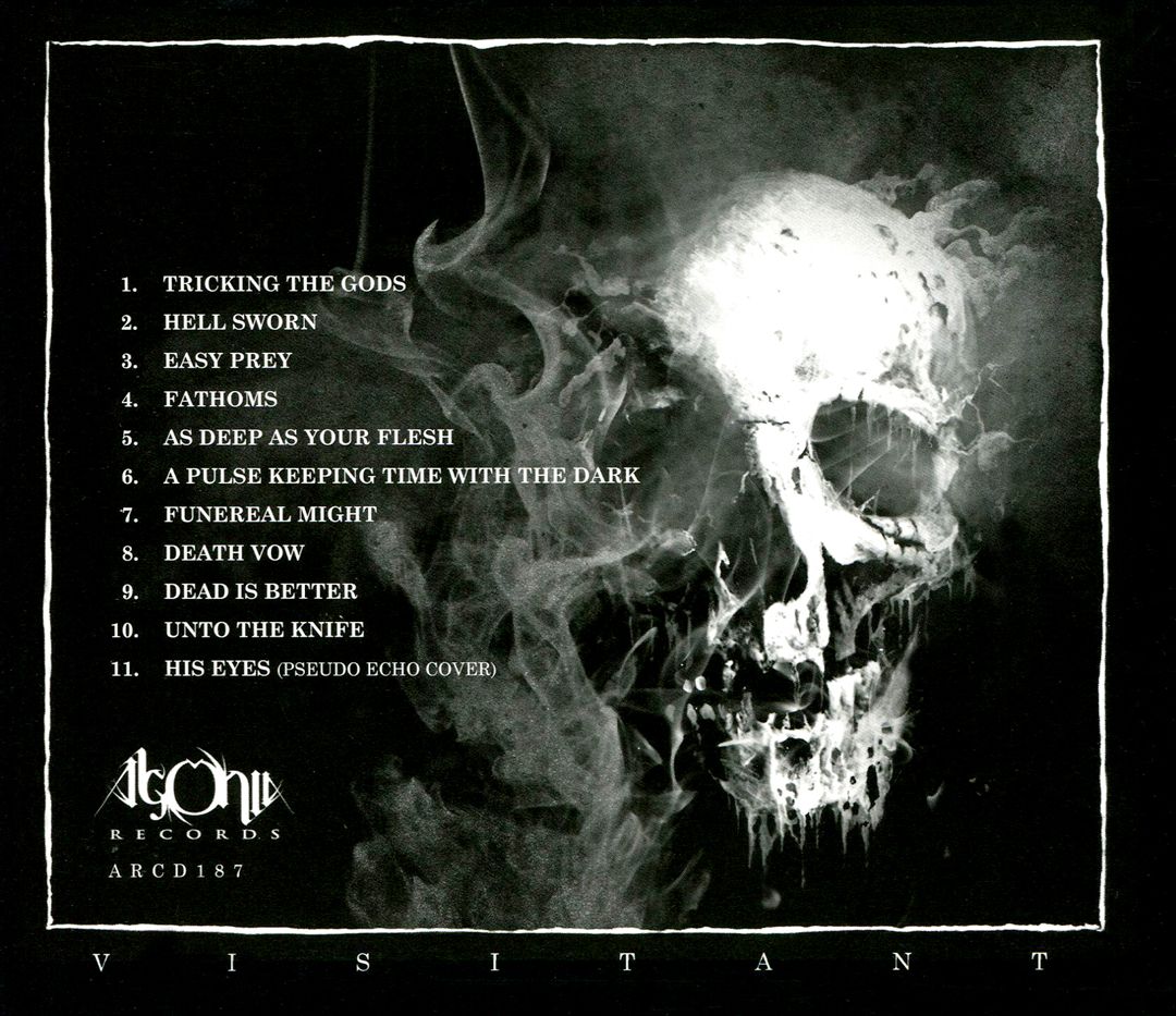 Visitant cover art