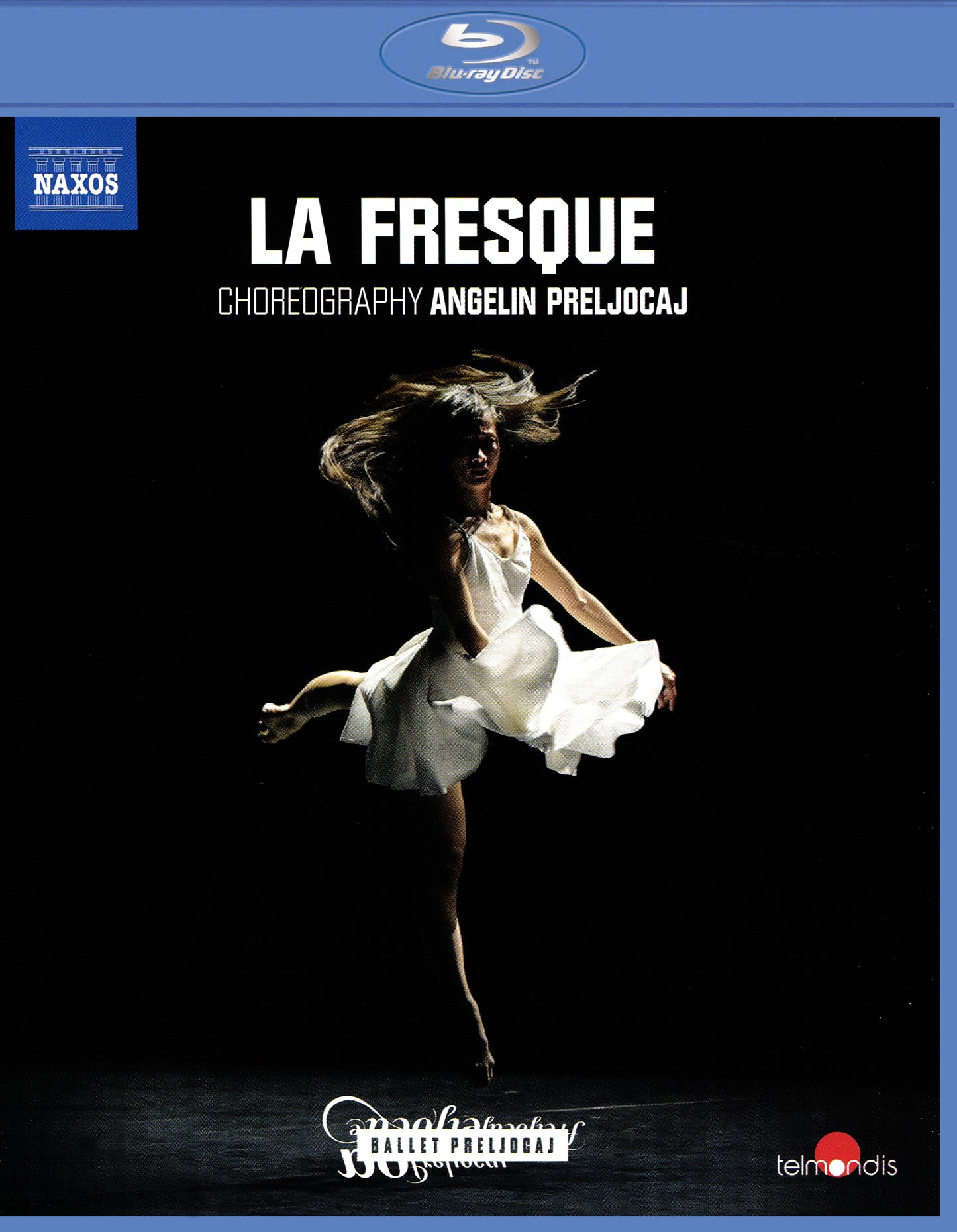 La Fresque [Video] cover art