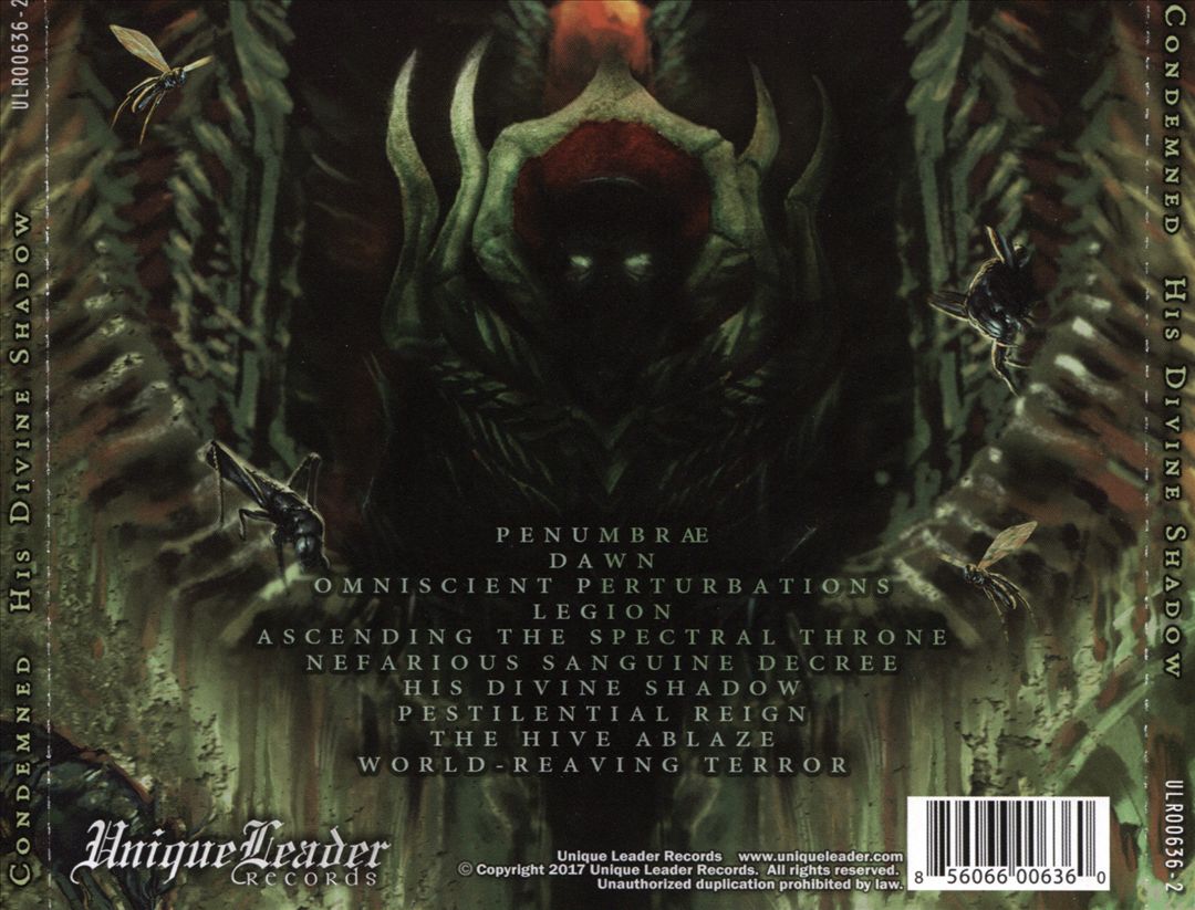 His Divine Shadow cover art