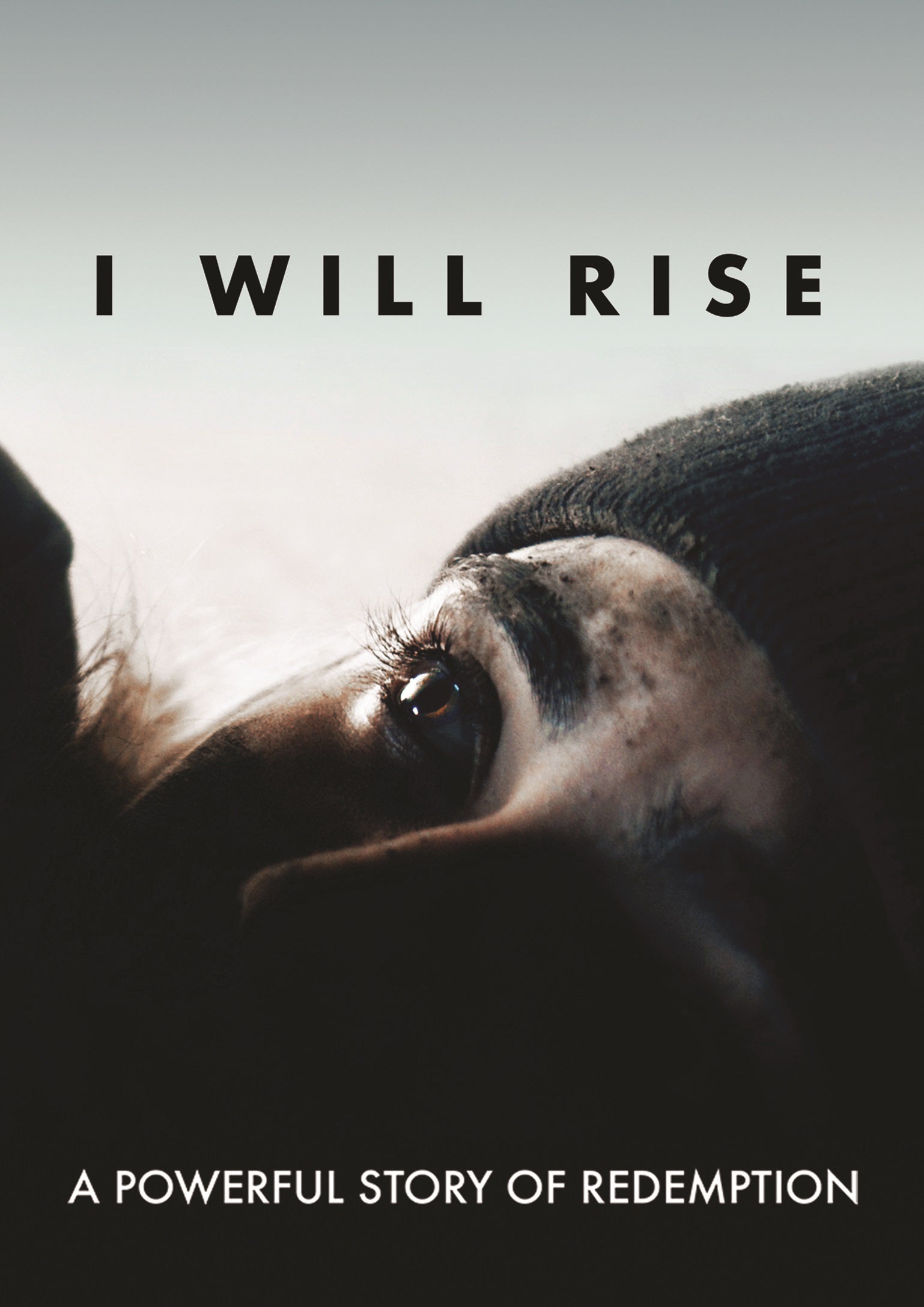 I Will Rise: A Powerful Story of Redemption cover art