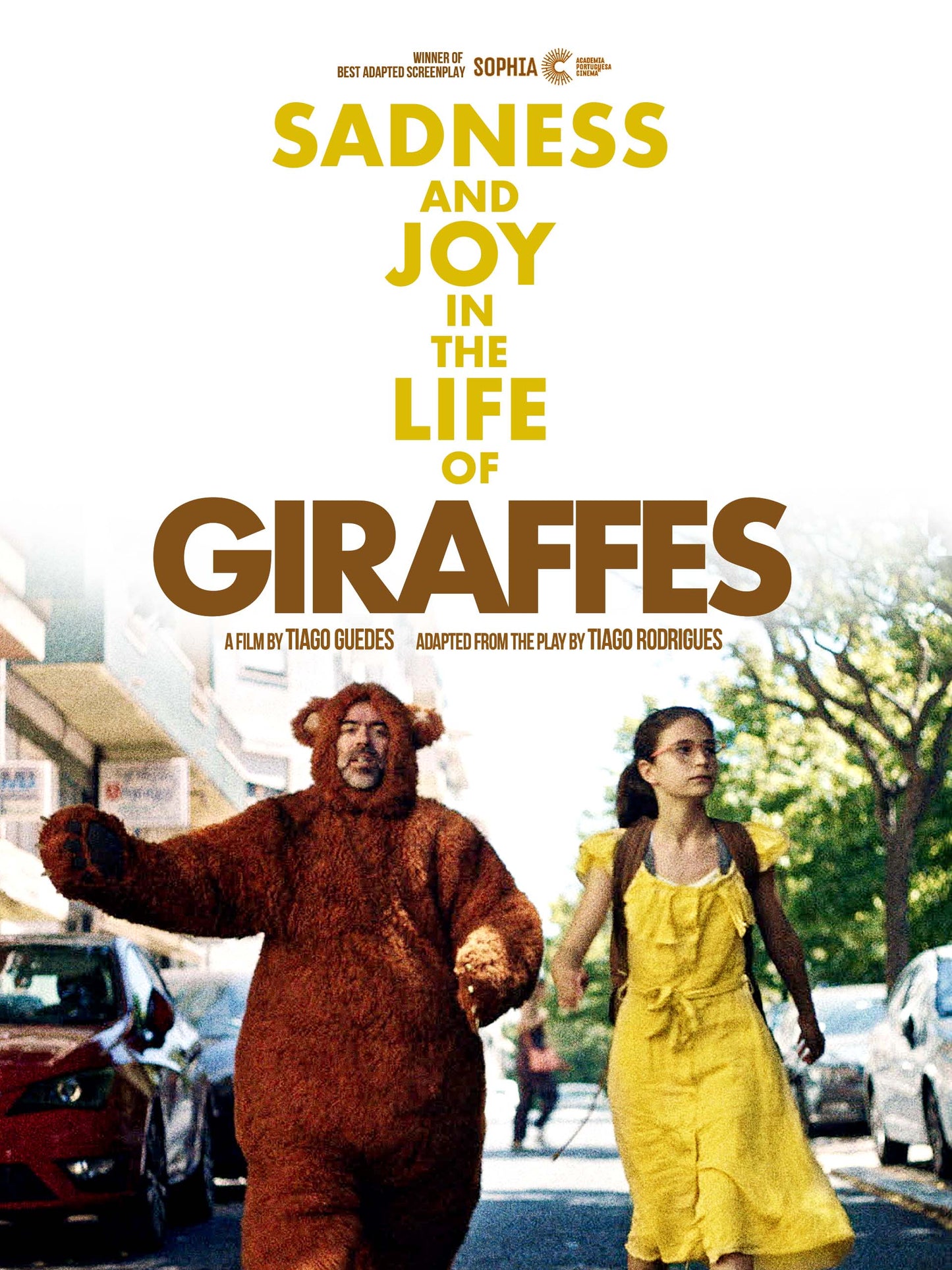 Sadness and Joy in the Life of Giraffes cover art