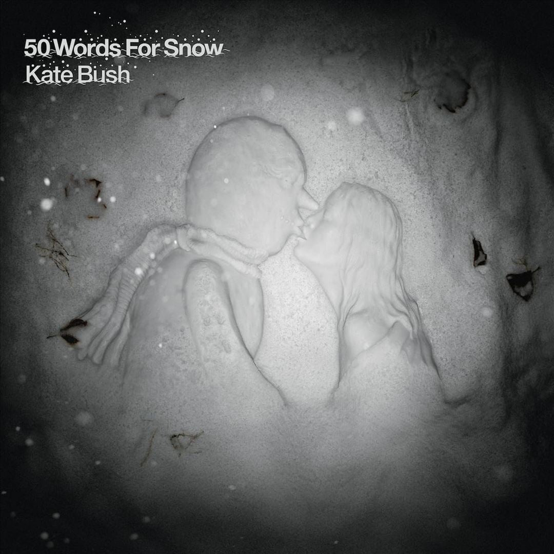 50 Words for Snow cover art
