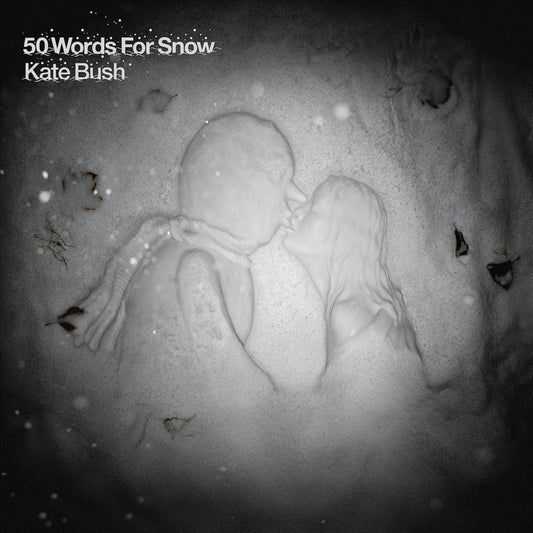 50 Words for Snow cover art