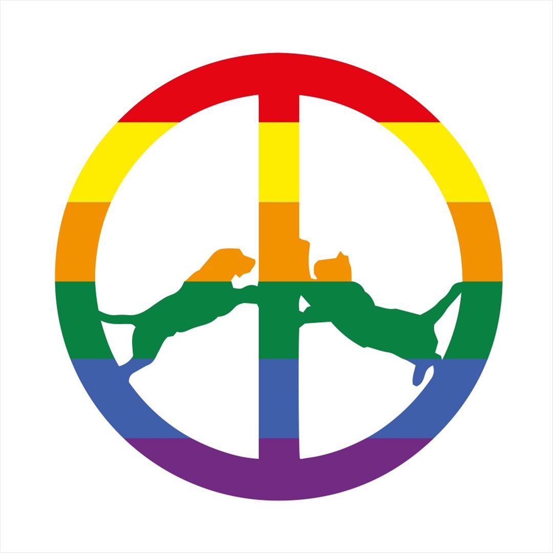 Rainbow Edition cover art