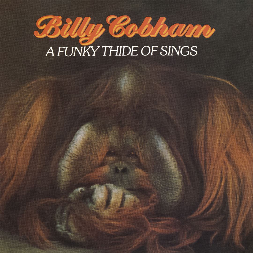 Funky Thide of Sings cover art