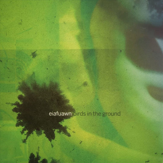 Birds in the Ground cover art