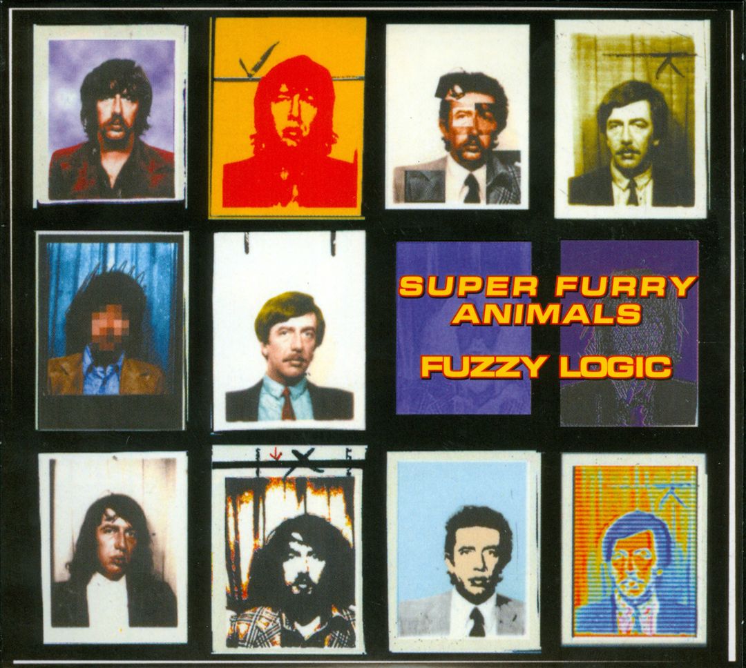 Fuzzy Logic cover art