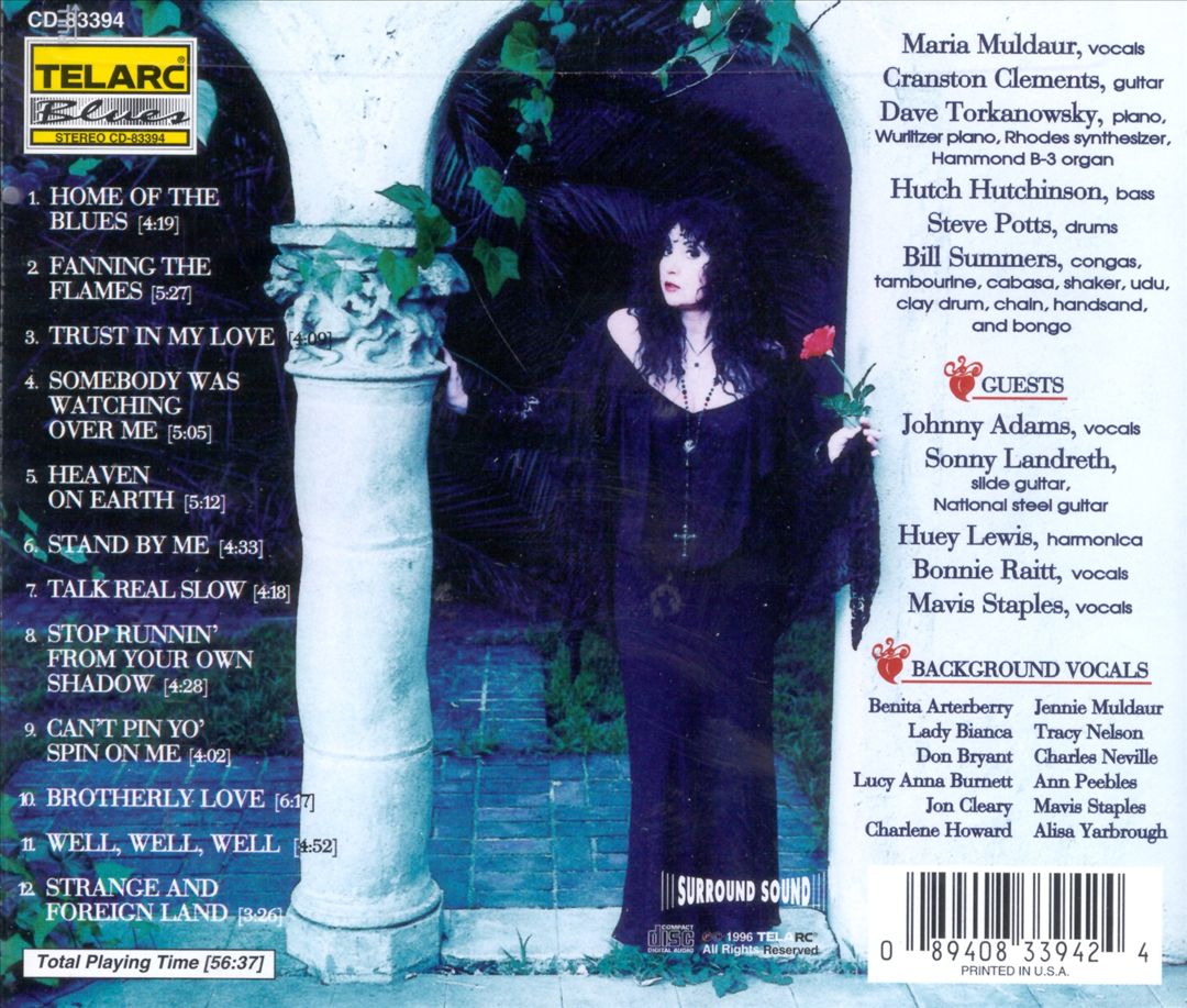 Fanning the Flames cover art