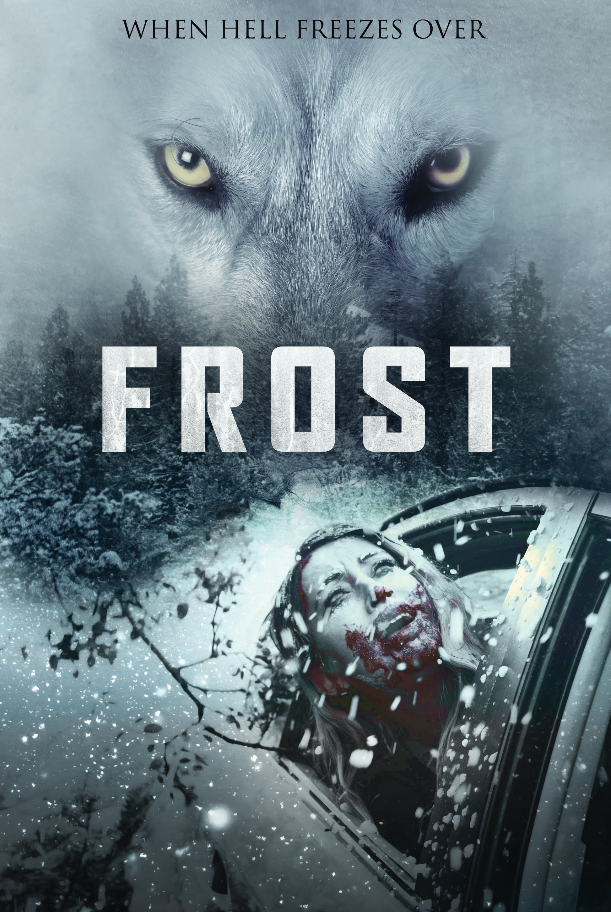 FROST cover art