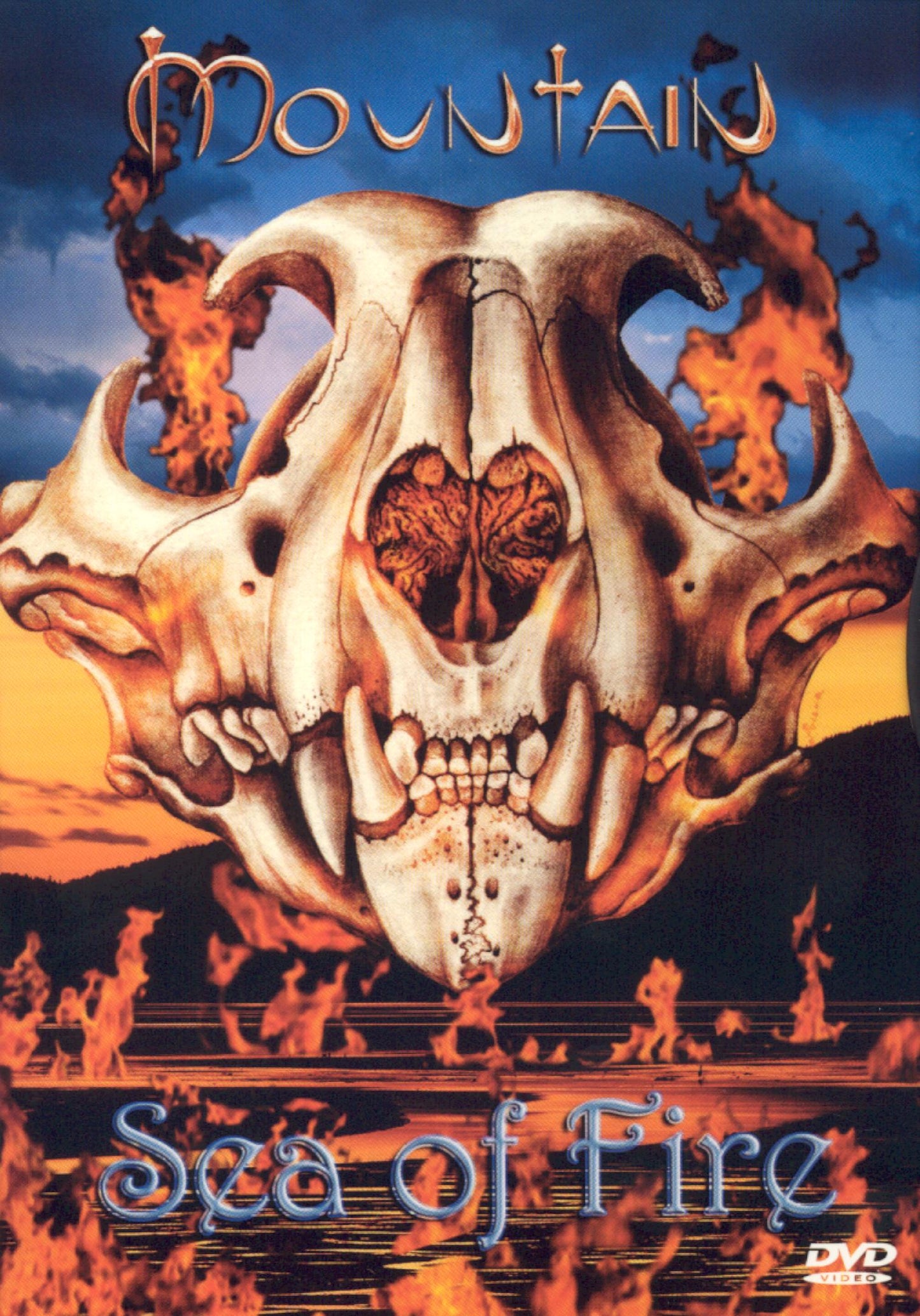 Sea of Fire cover art