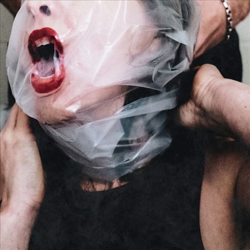 Flesh Stays Together cover art
