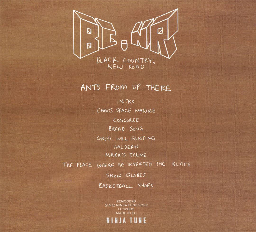 Ants From Up There cover art