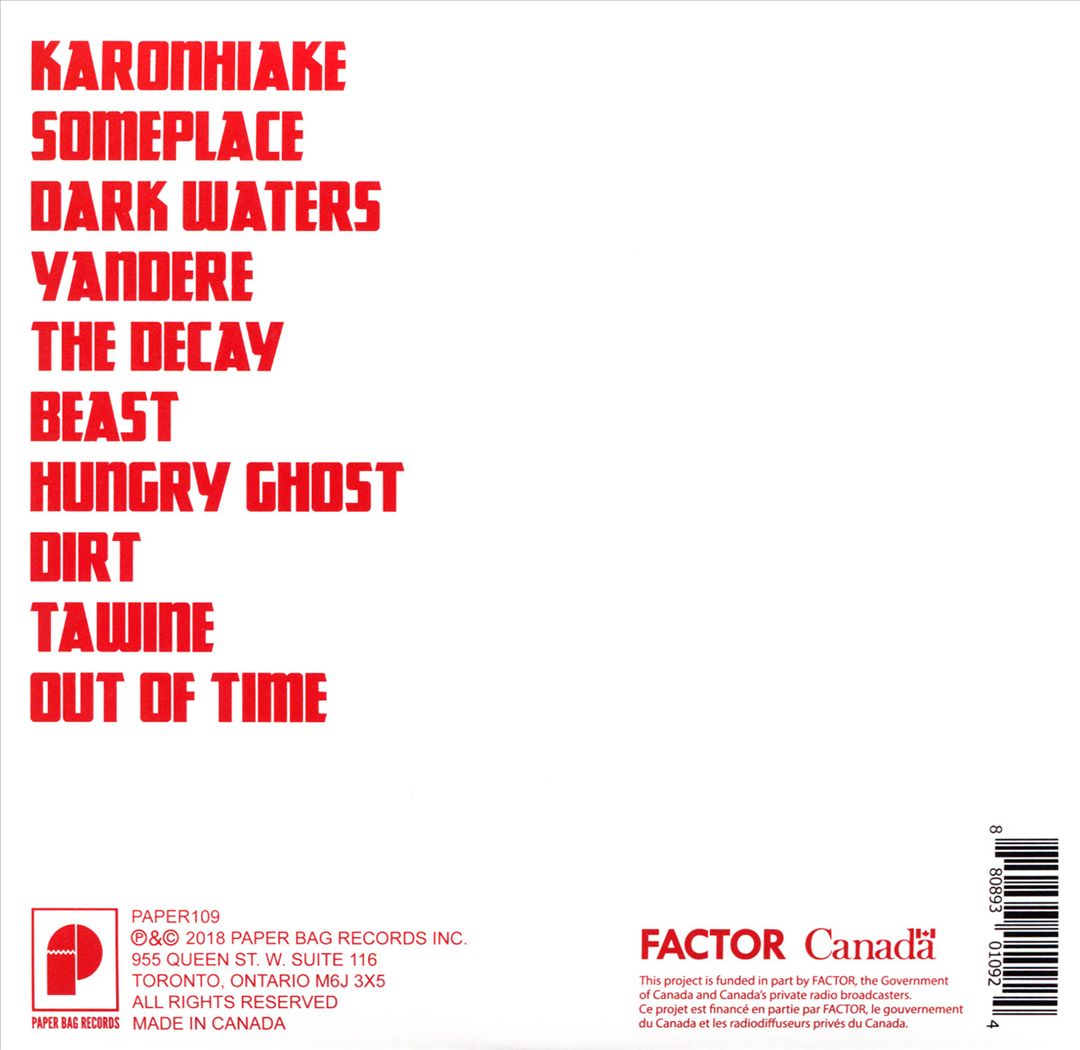 Dirt cover art