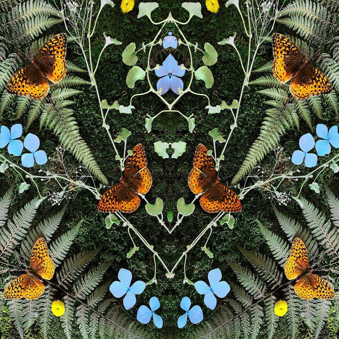 Aubades cover art