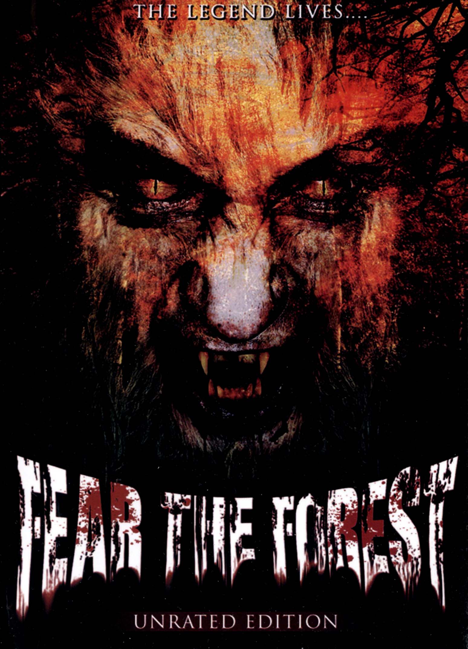 Fear the Forest cover art