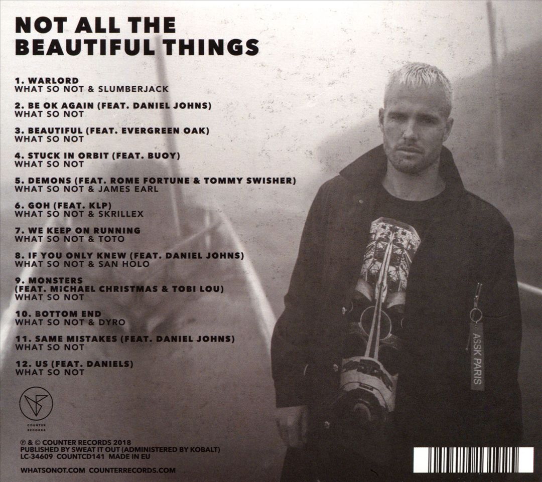 Not All the Beautiful Things cover art