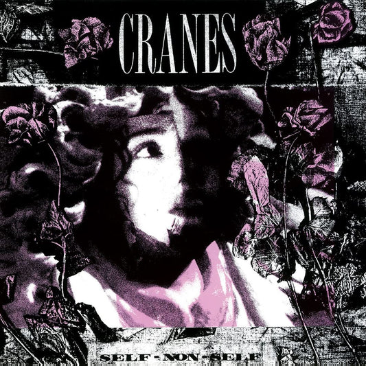 Self-Non-Self cover art