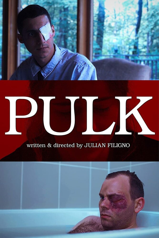 Pulk cover art