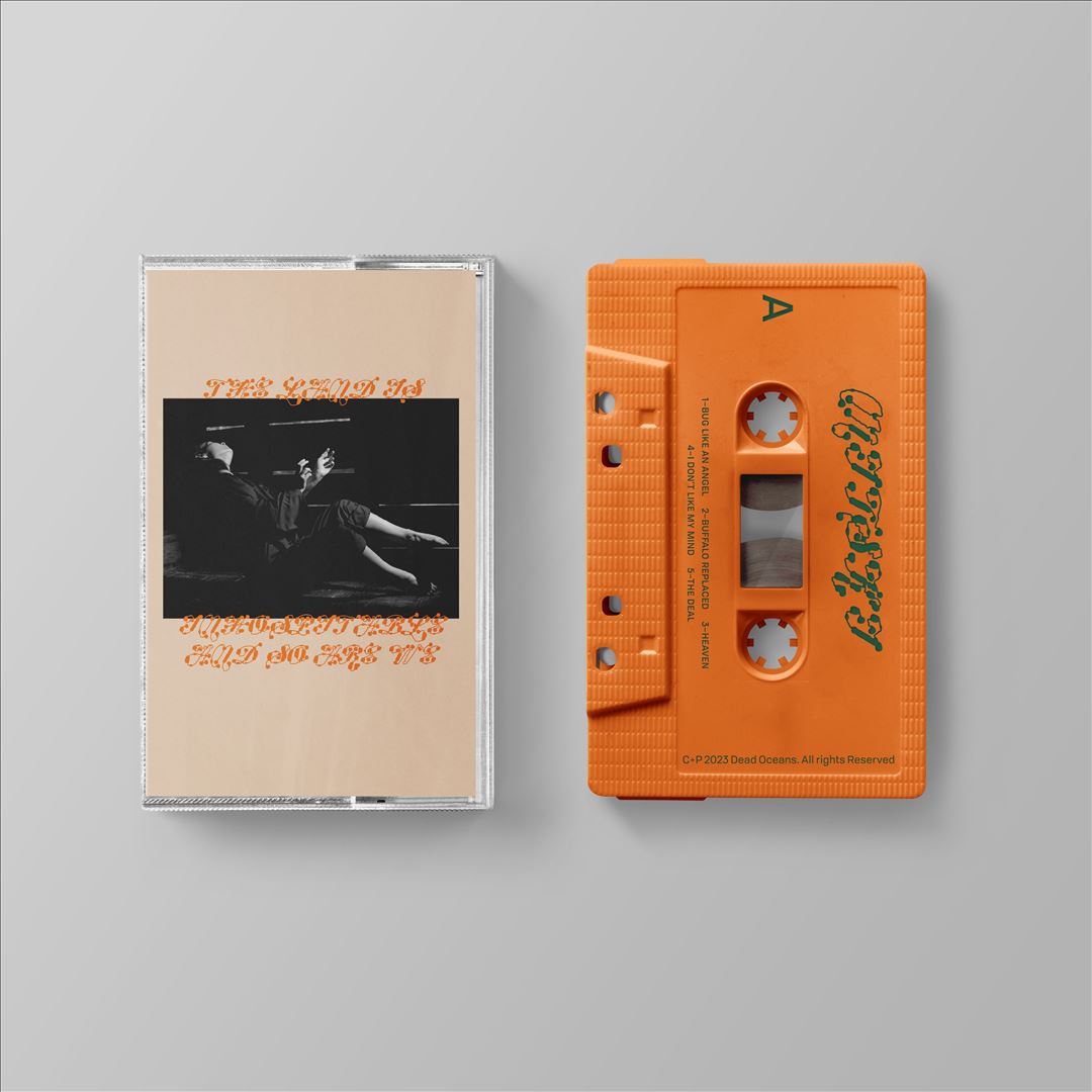 Land Is Inhospitable and So Are We  cover art