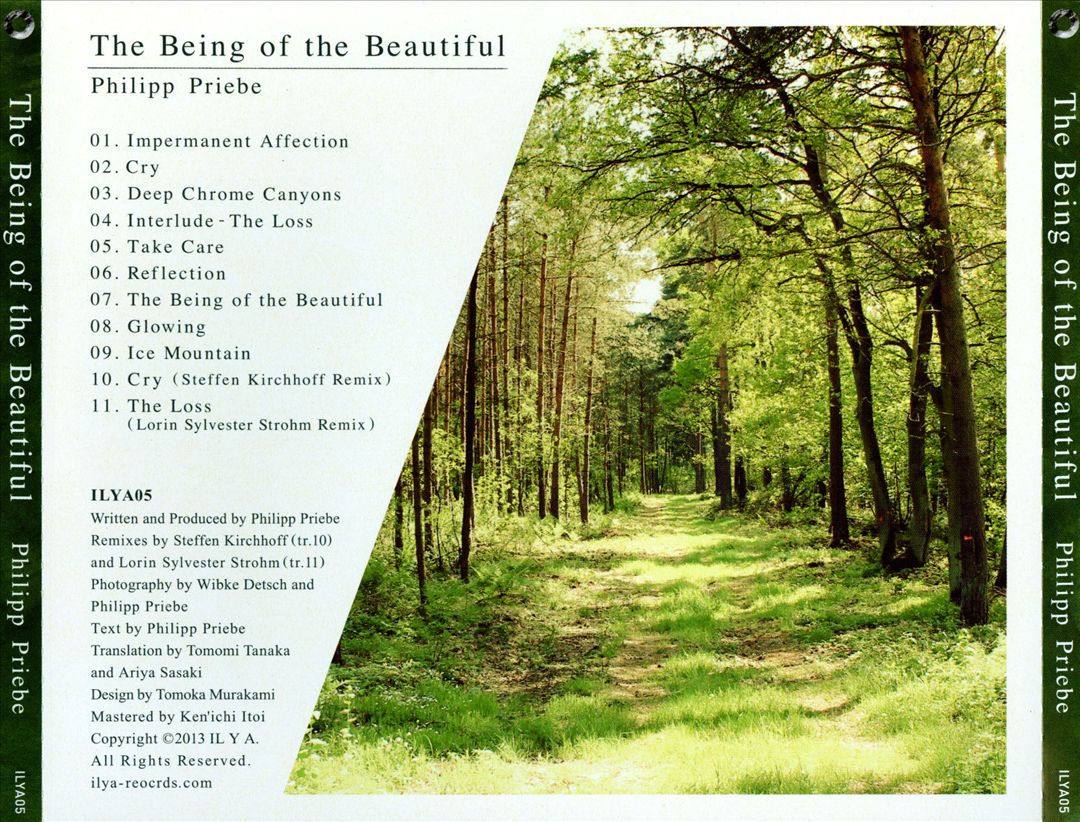 Being of the Beautiful cover art
