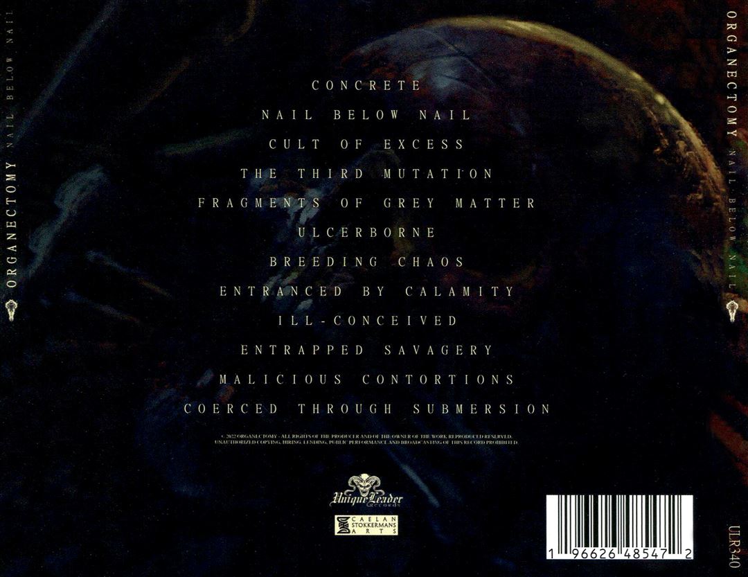 Nail Below Nail cover art