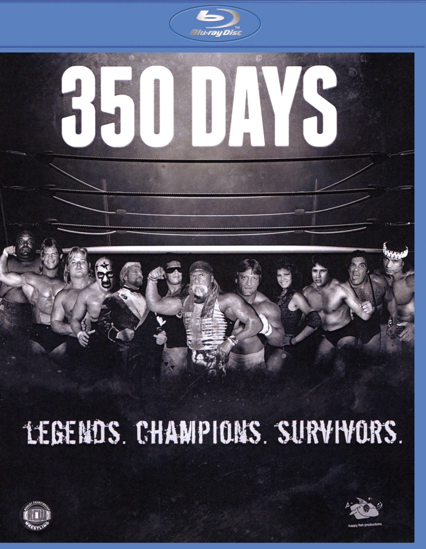 350 Days [Blu-ray] cover art