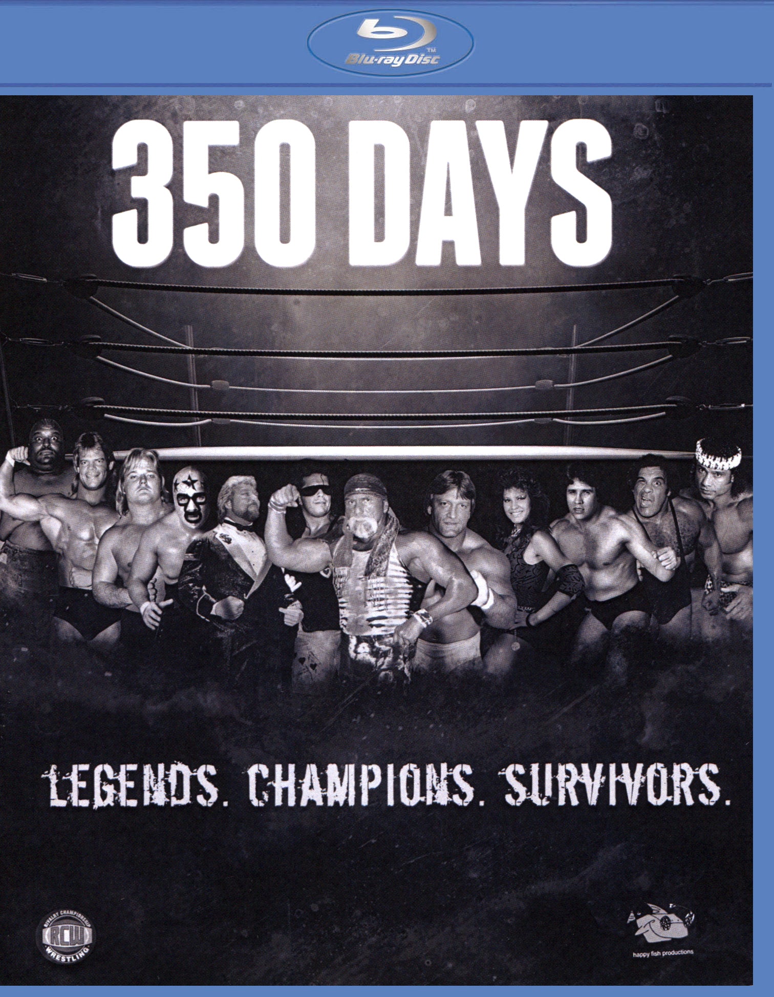 350 Days [Blu-ray] cover art