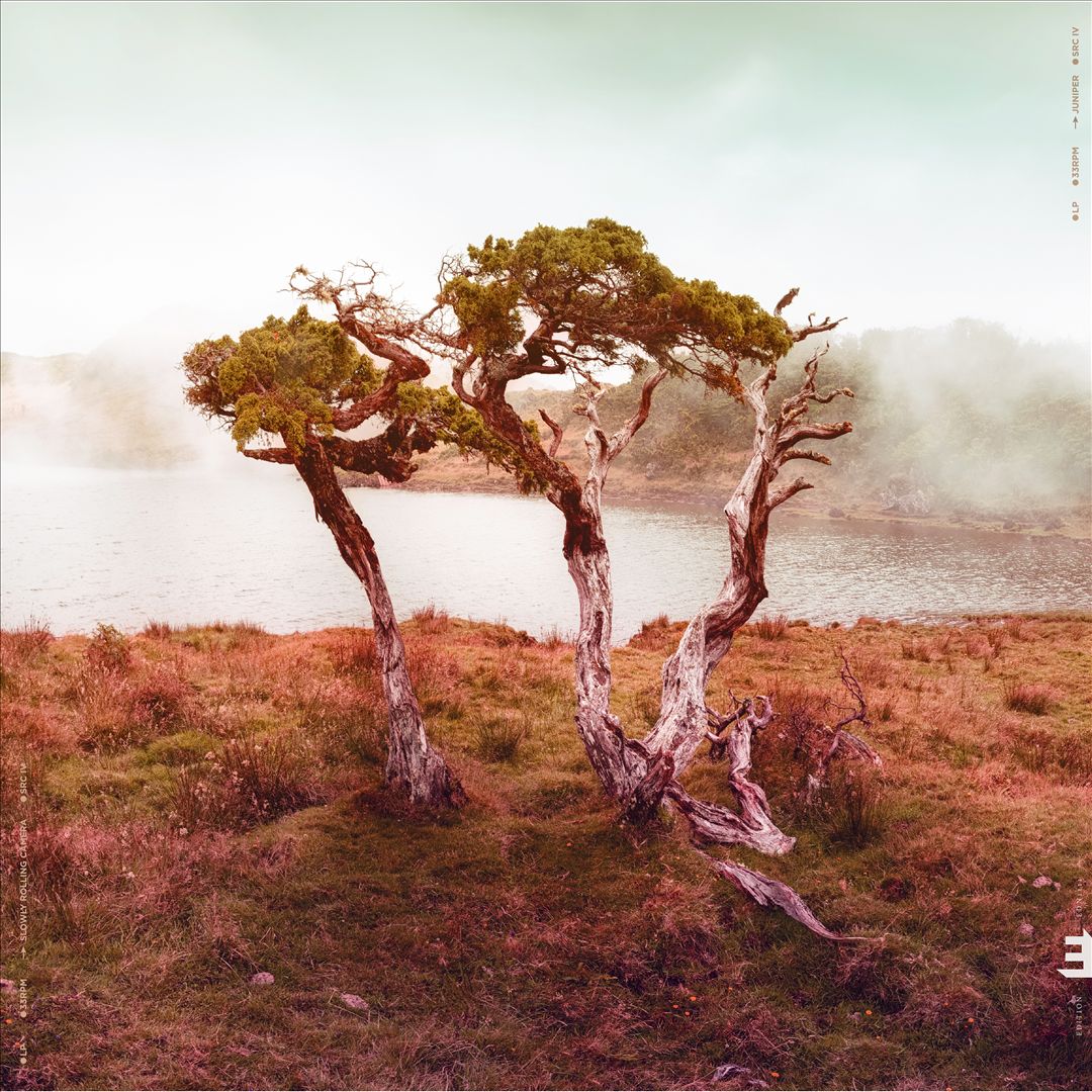 Juniper cover art