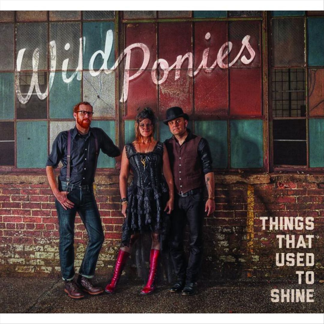 Things That Used To Shine cover art