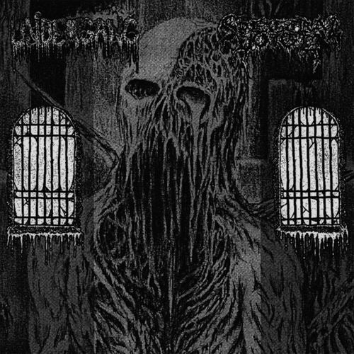 Spectral Voice/Undergang cover art