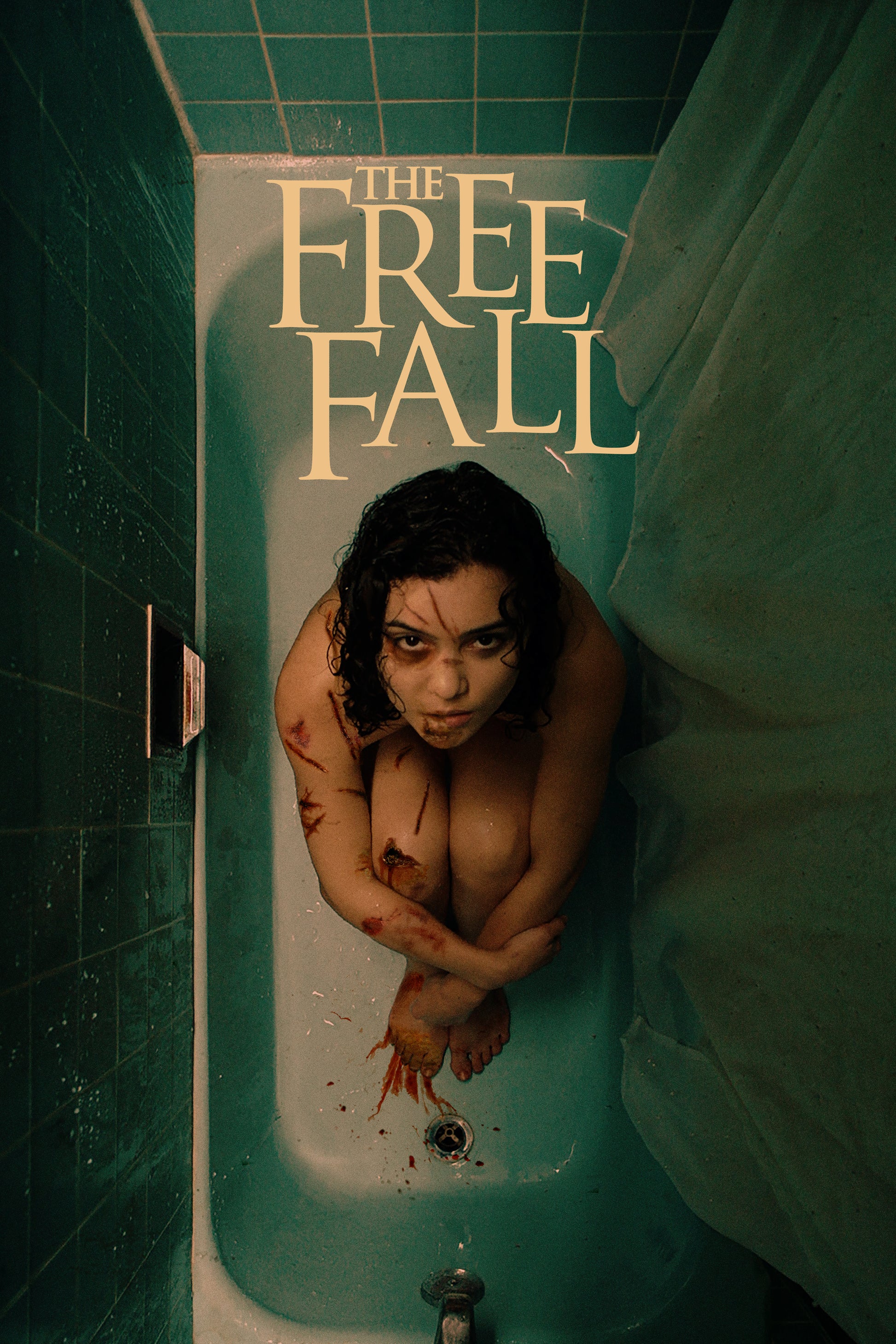 Free Fall cover art