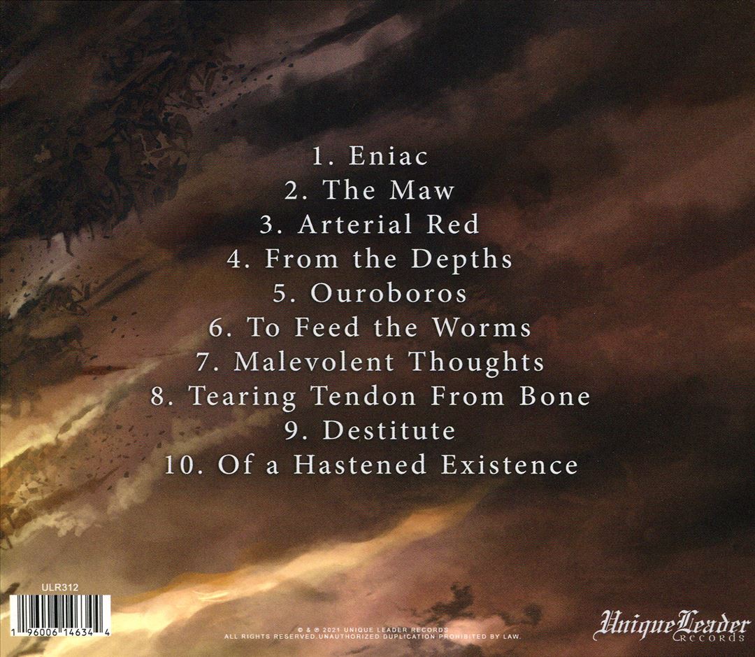 Malevolent Thoughts of a Hastened Extinction cover art