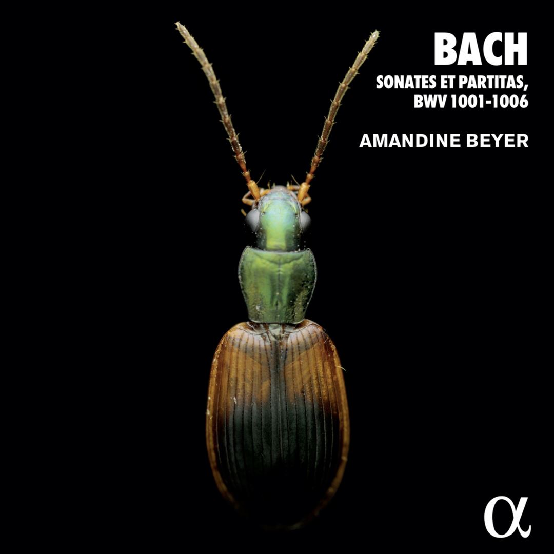Bach: Sonates et Partitas, BWV 1001-1006 cover art