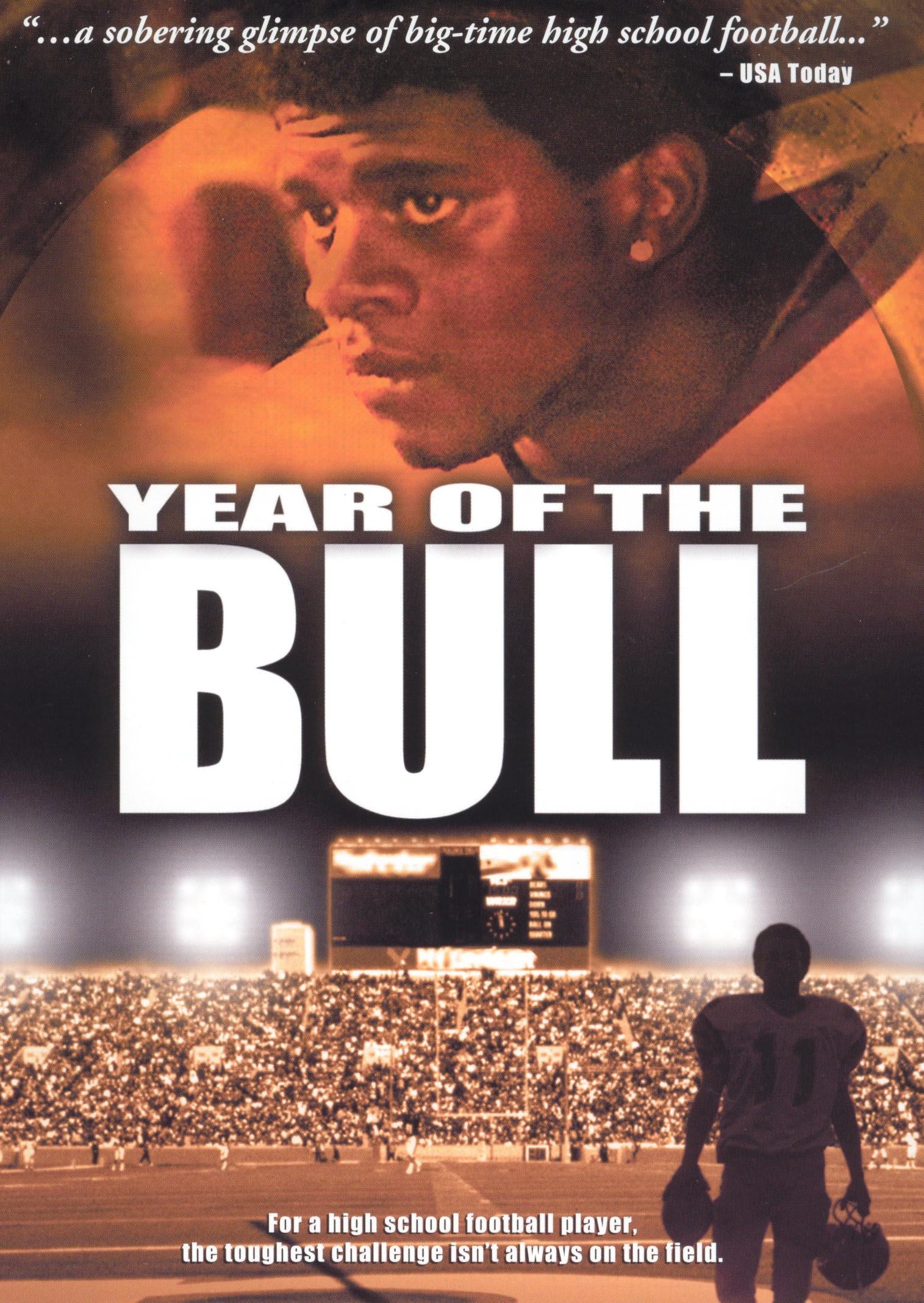 Year Of The Bull cover art