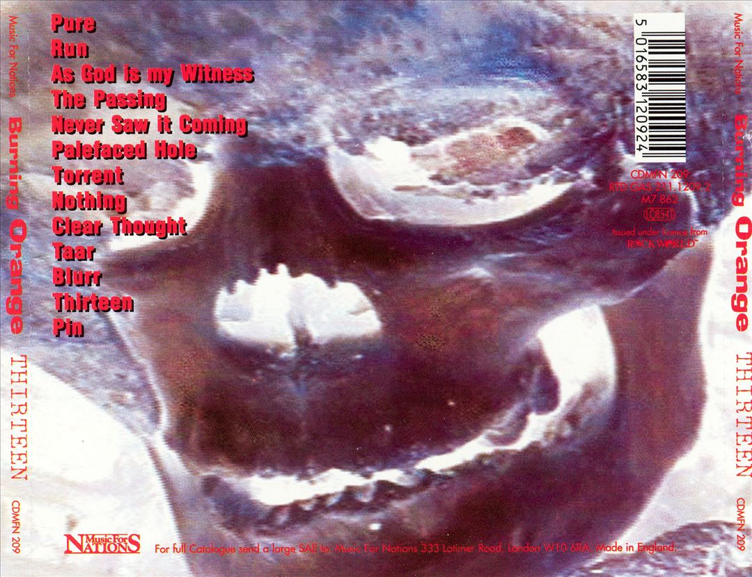 Thirteen cover art