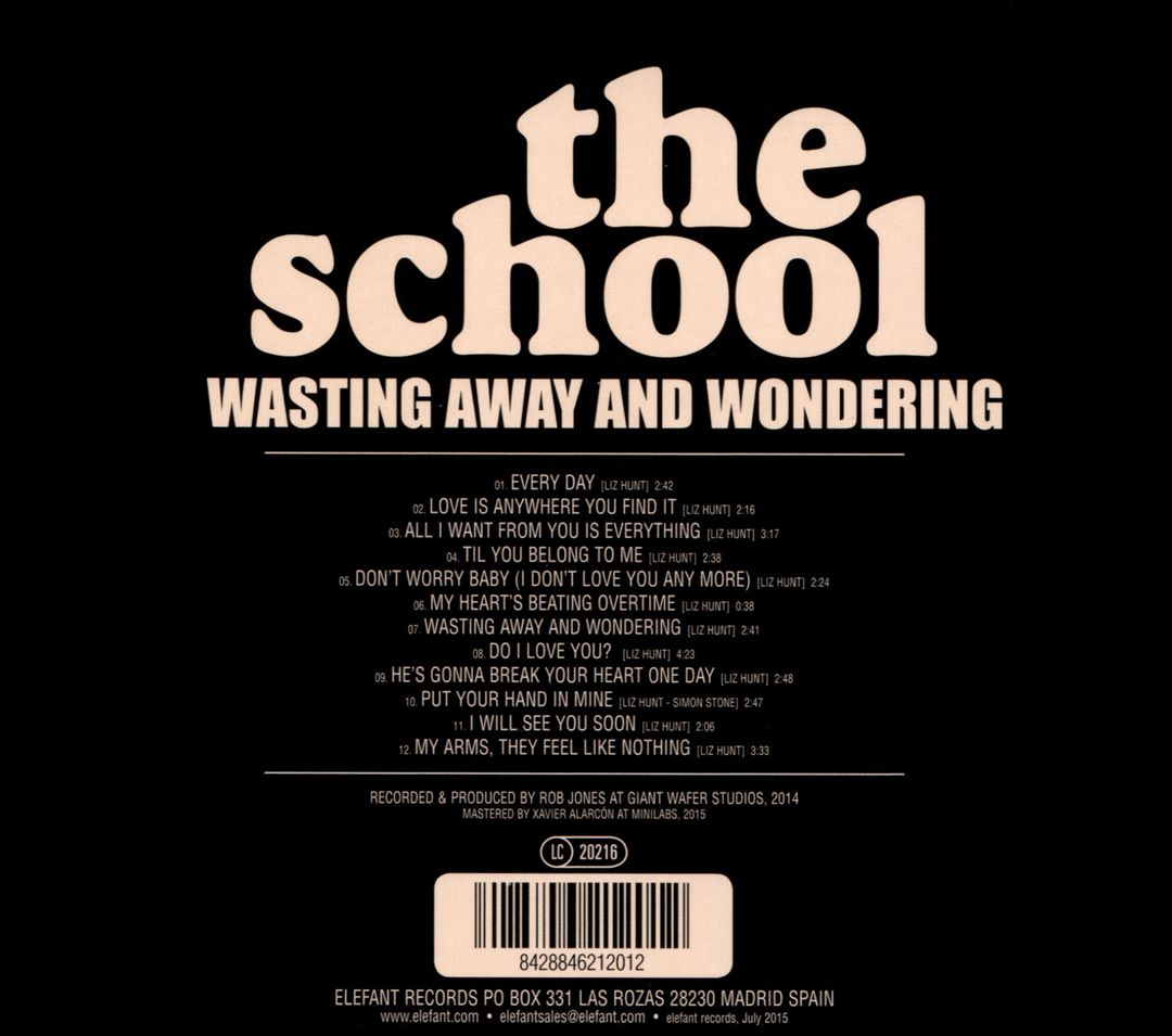 Wasting Away and Wondering cover art