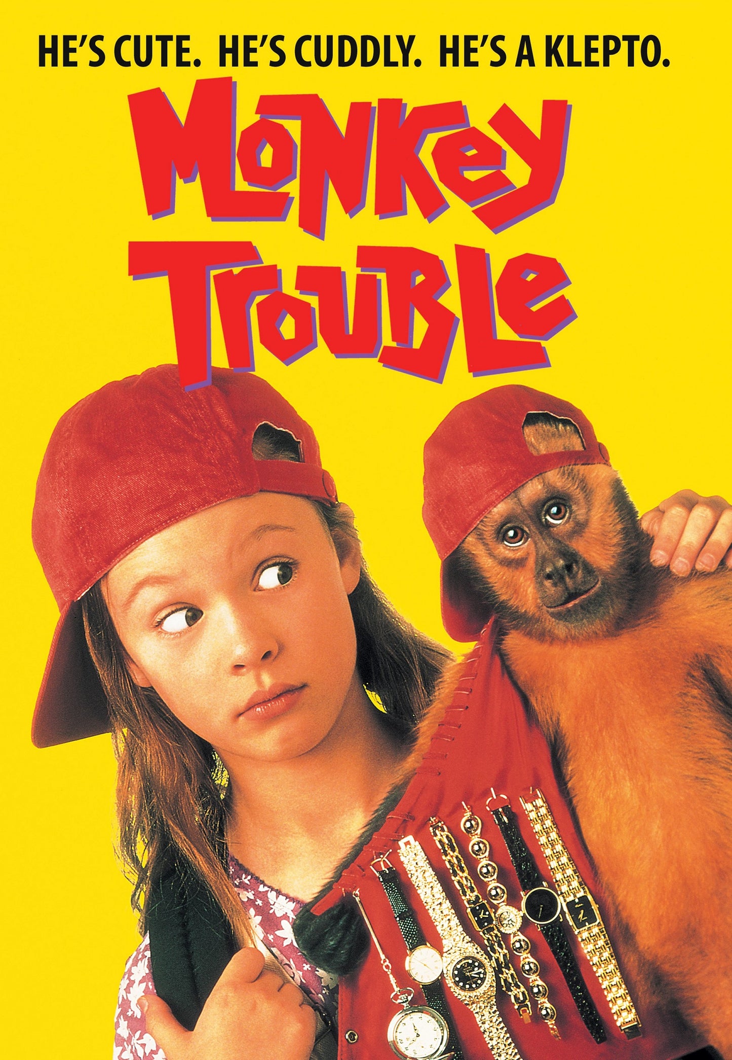 Monkey Trouble cover art