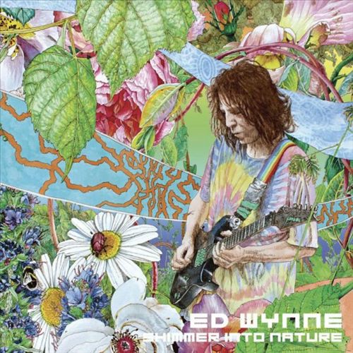 Shimmer Into Nature cover art