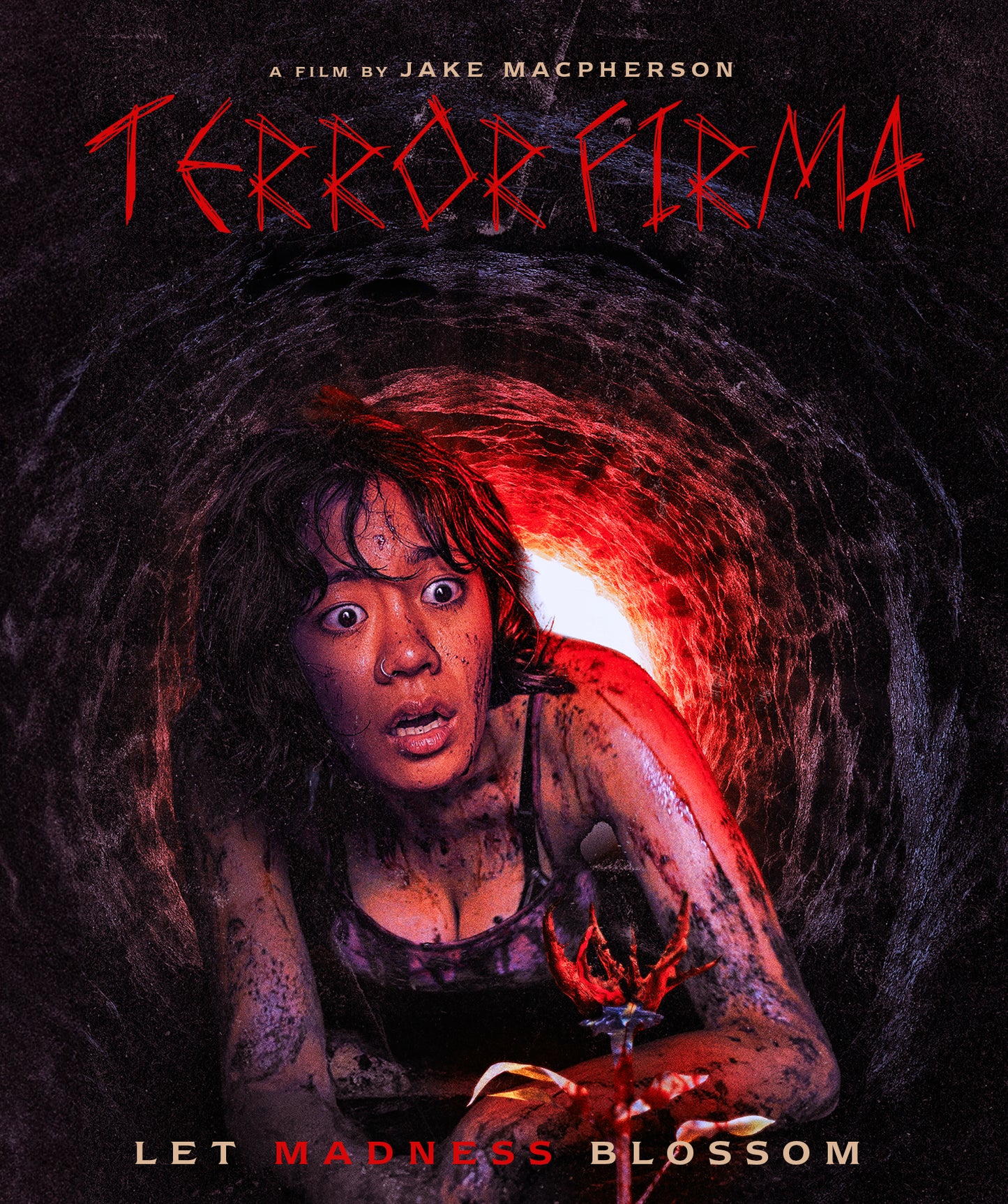 Terror Firma [Blu-ray] cover art