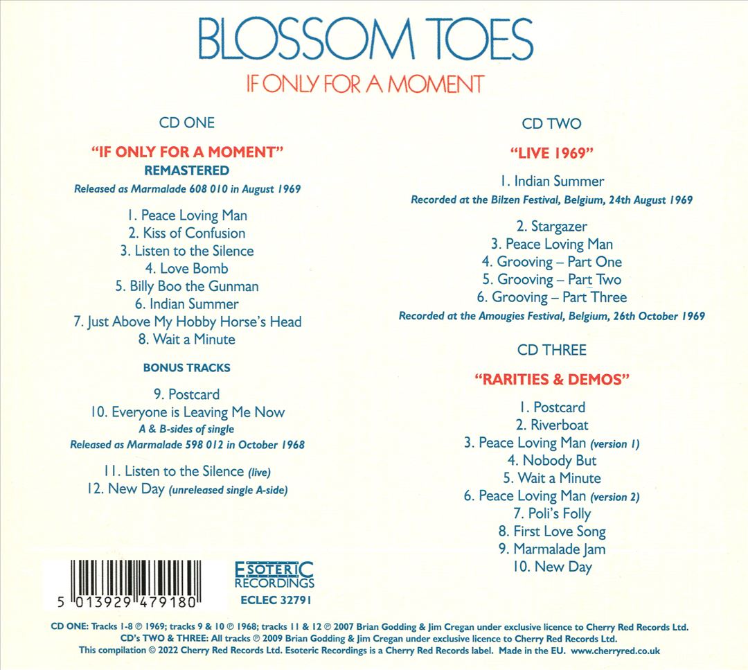 If Only for a Moment cover art
