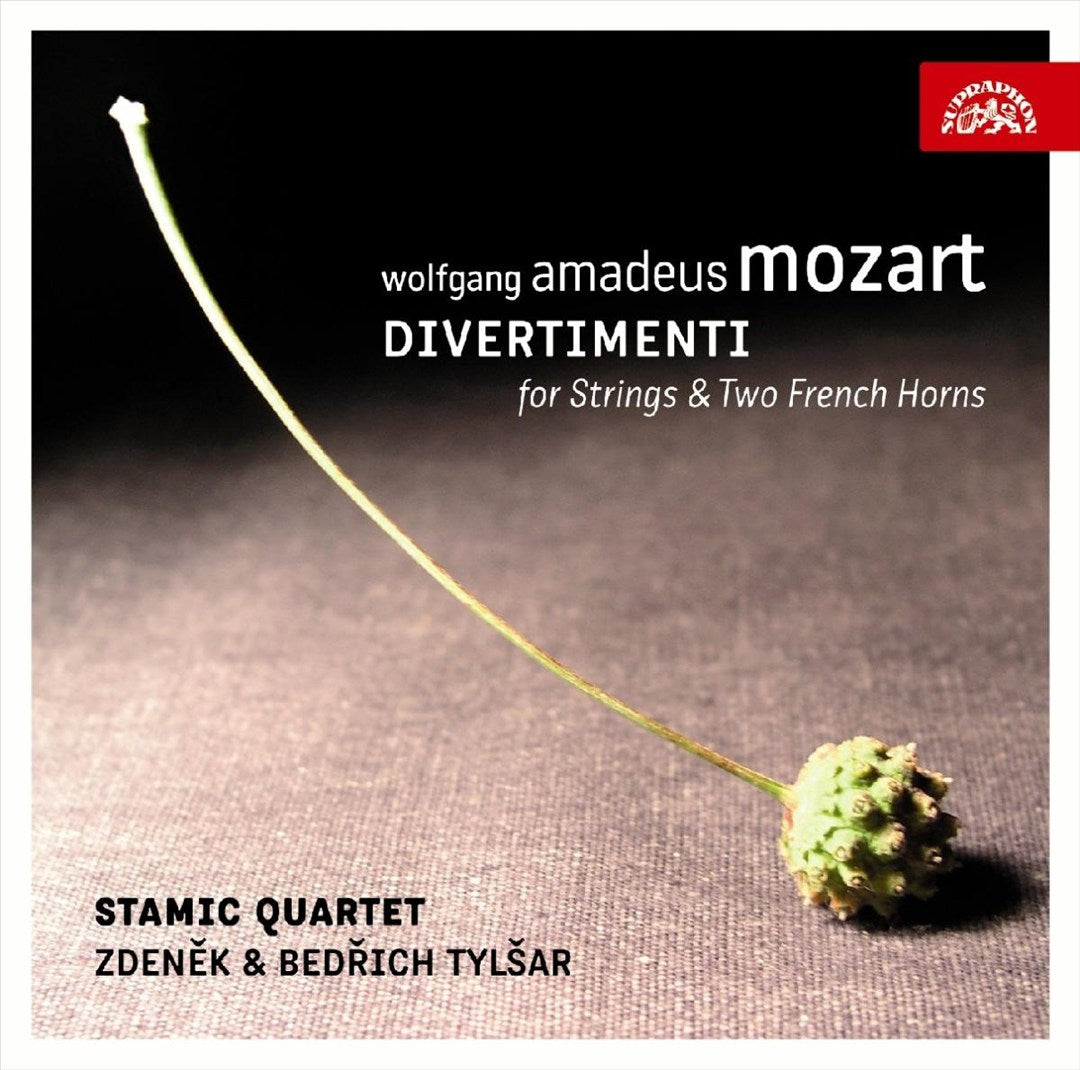Mozart: Divertimenti for Strings & Two French Horns cover art