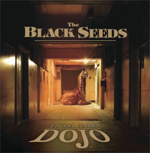 Into the Dojo cover art