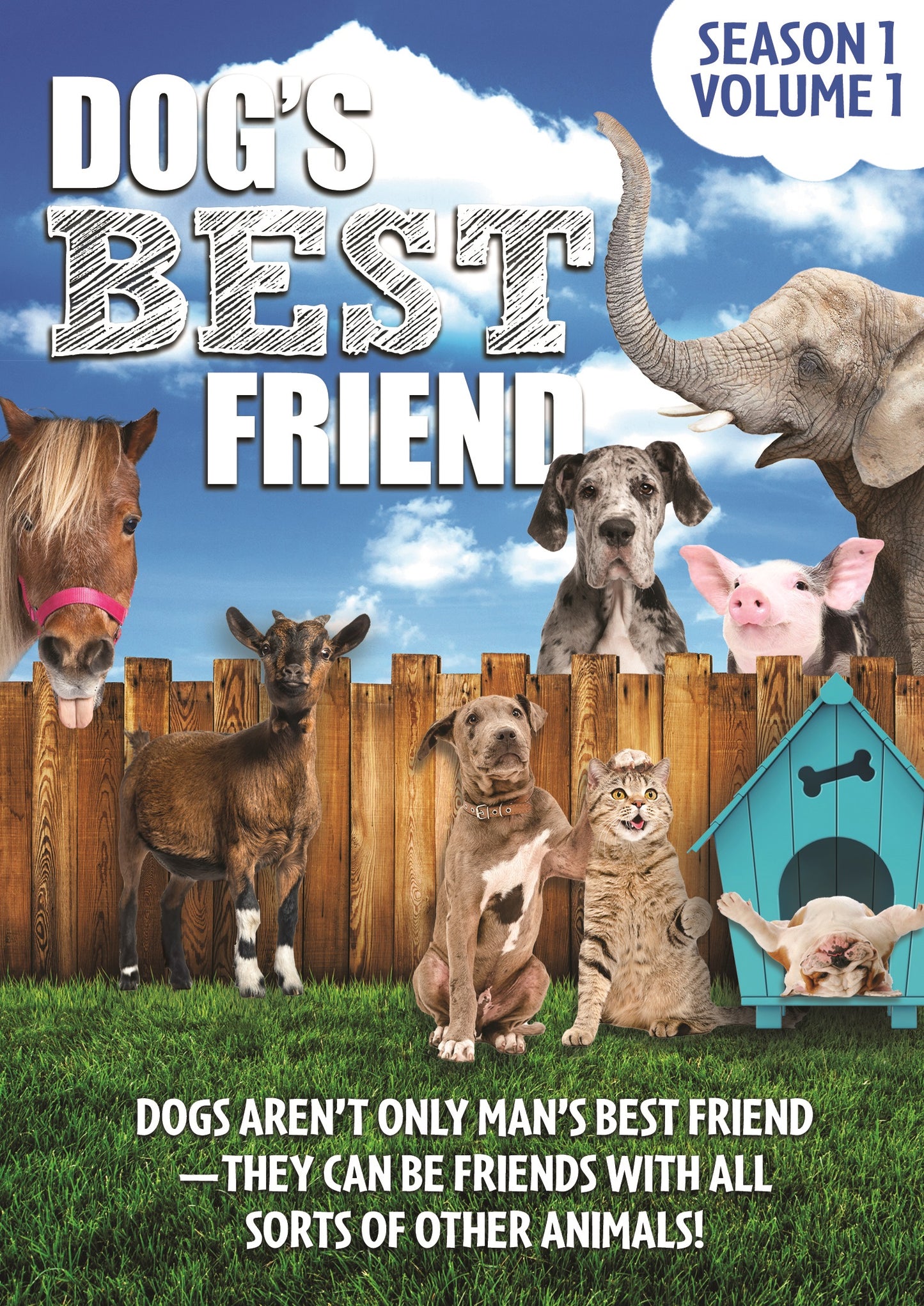 Dog's Best Friend: Season 1 - Volume 1 cover art