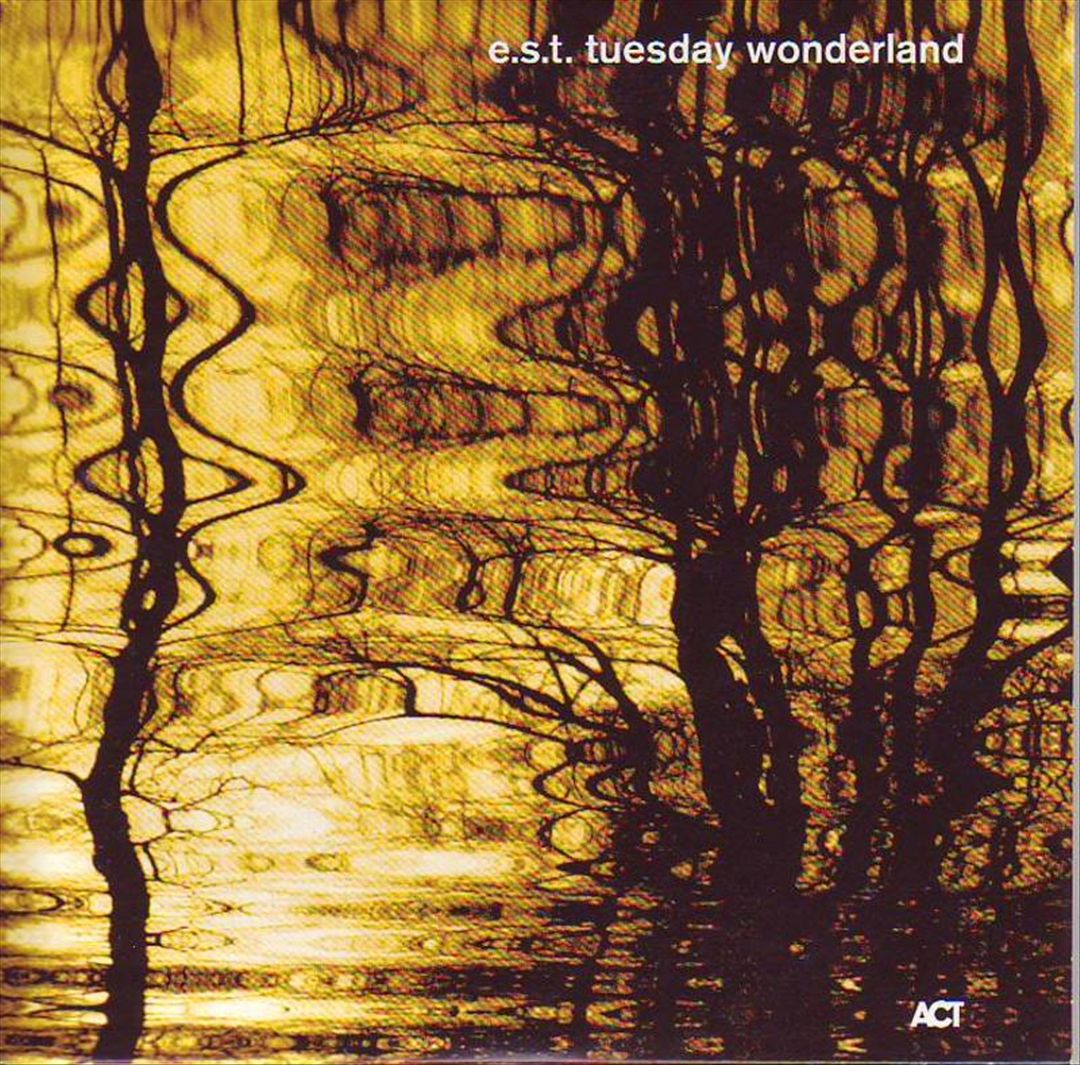 Tuesday Wonderland cover art