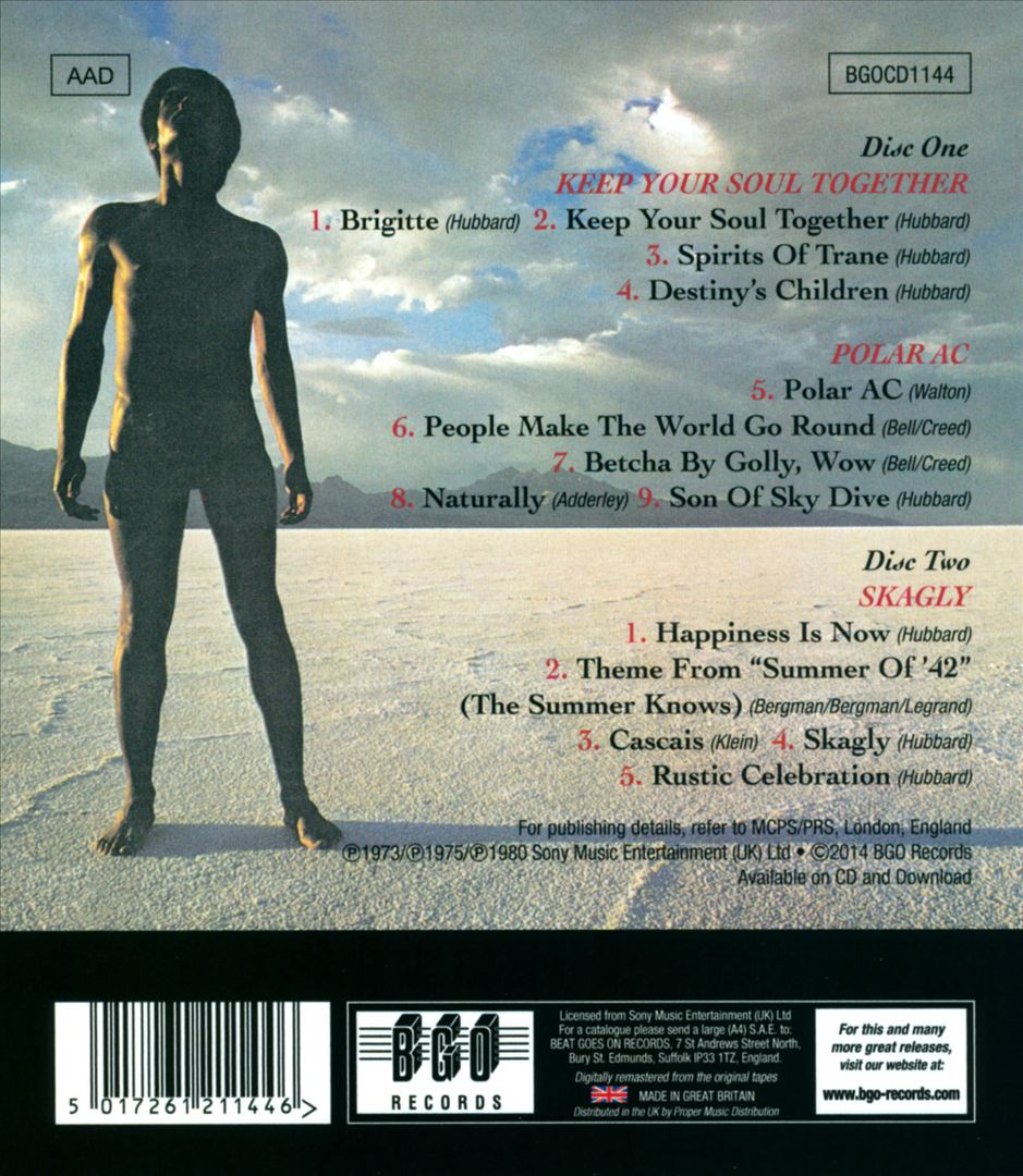 Keep Your Soul Together/Polar AC/Skagly cover art