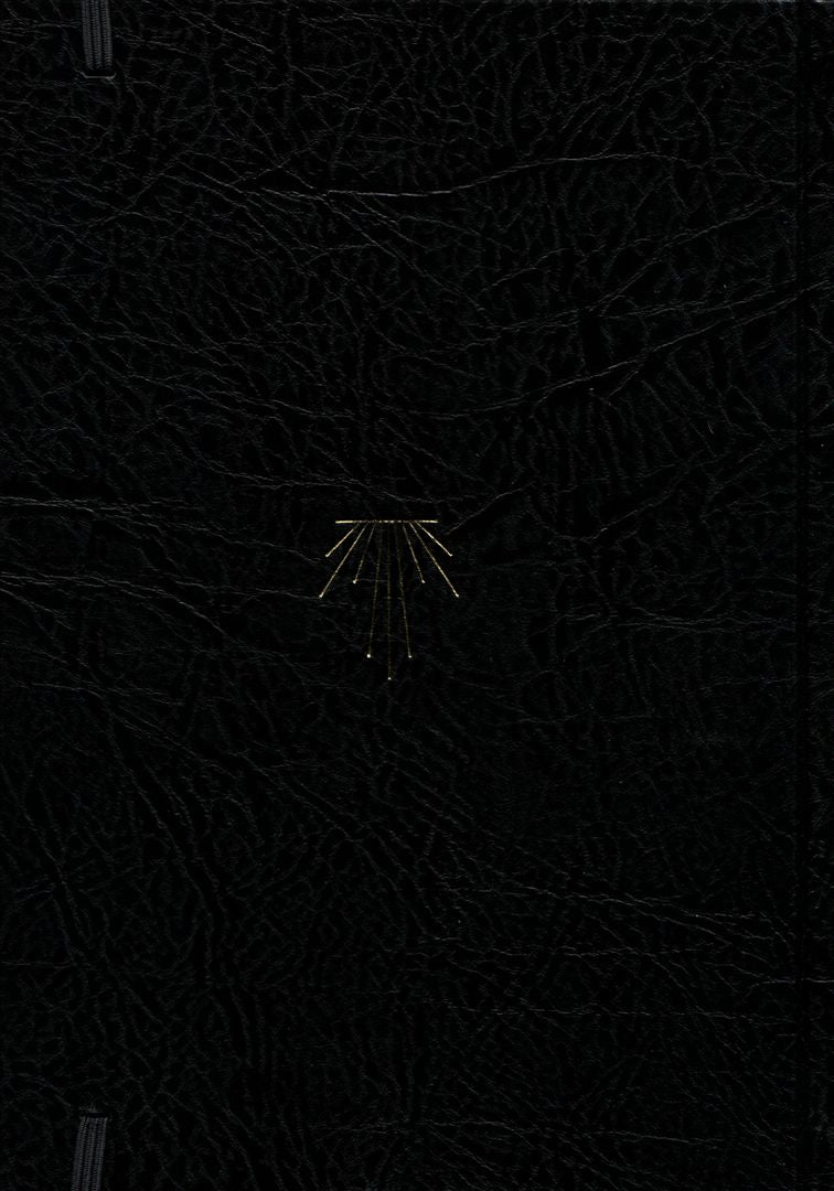 Delta Diaries cover art