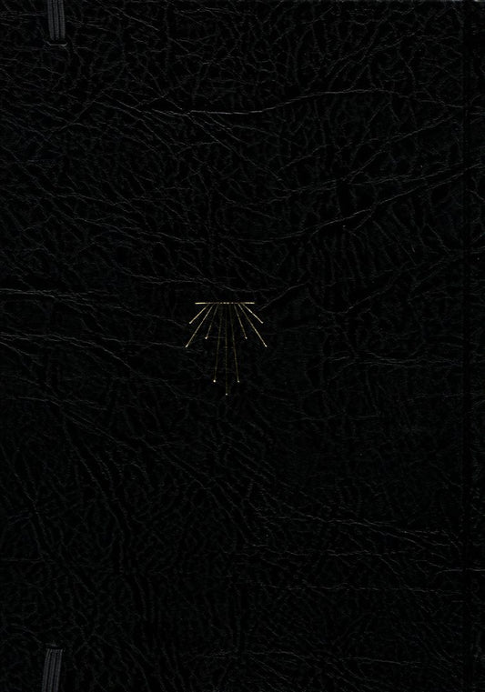 Delta Diaries cover art